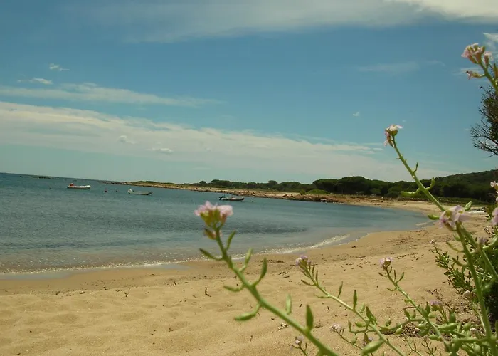 La Culla Del Mare