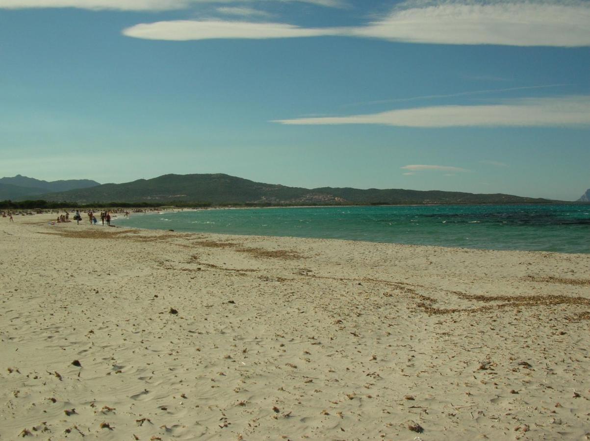 La Culla Del Mare Budoni