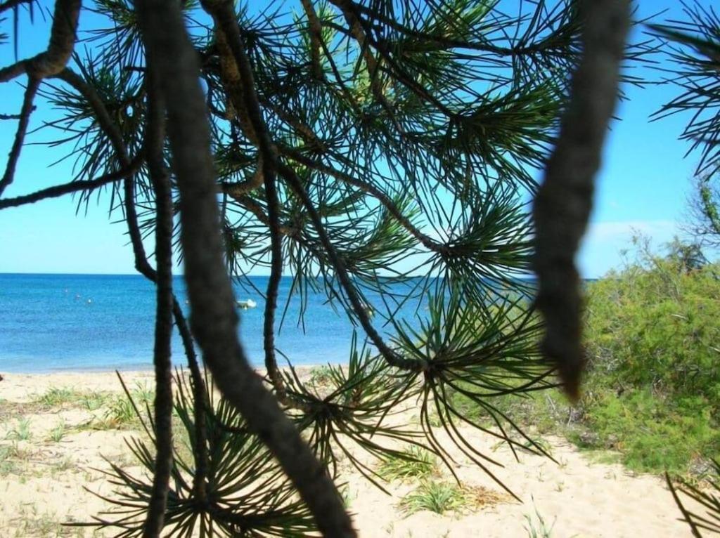 La Culla Del Mare Holiday home Budoni