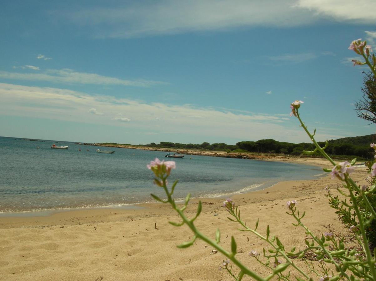 La Culla Del Mare